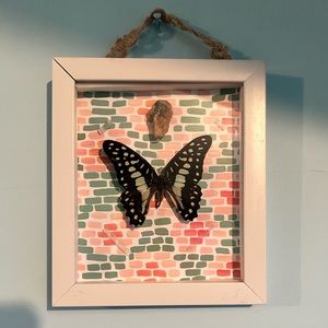 Common Jay- “Adapting to Change”